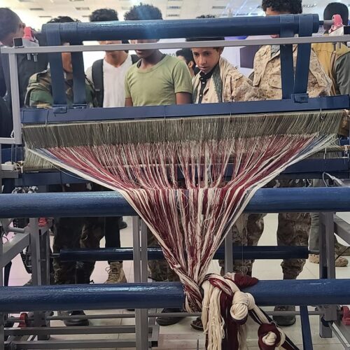 مشروع المنوال