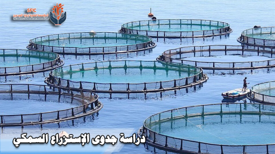 الإستزراع السمكي دراسة جدوى