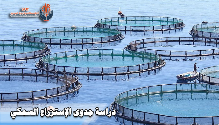 الإستزراع السمكي دراسة جدوى