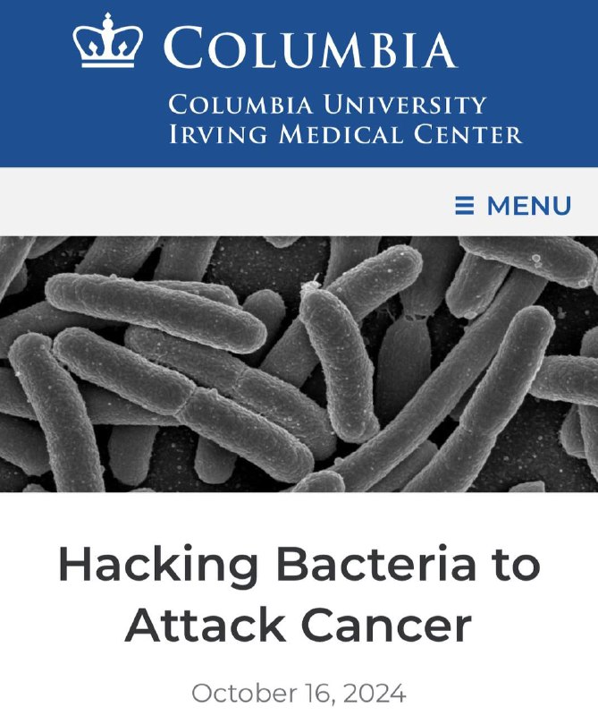 البكتيريا تقتقل السرطان